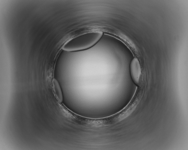 X0000116680801200912211623