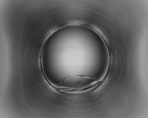 X0000116680802200912211622