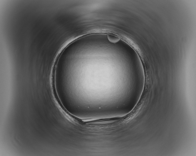 X0000116680803200912211622