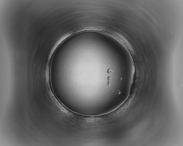 X0000116680804200912211622