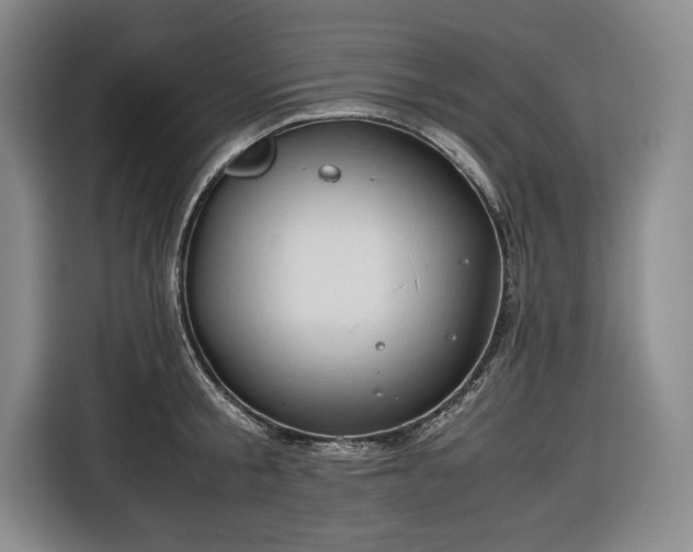 X0000116680805200912211622