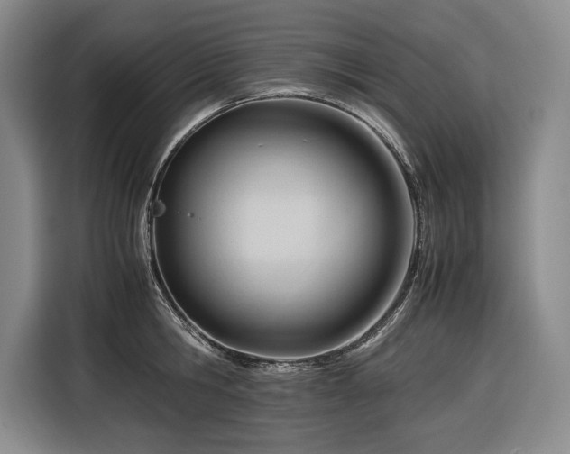 X0000116680806200912211622