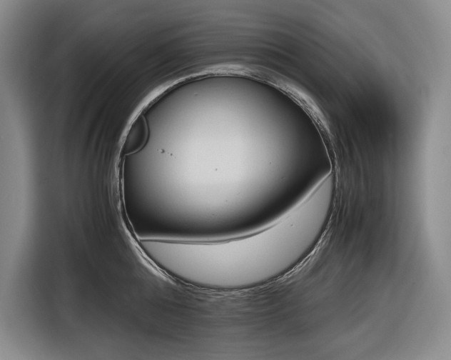 X0000116680808200912211622