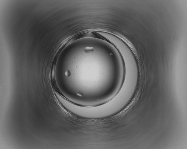 X0000116680809200912211622