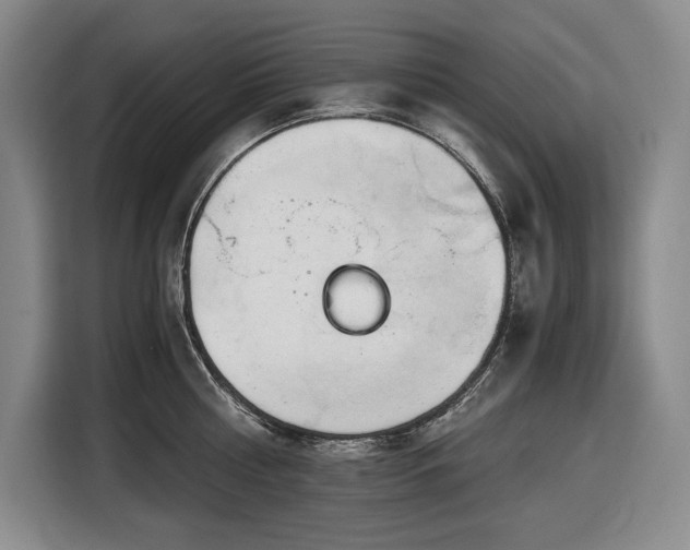 X0000116680810200912211622