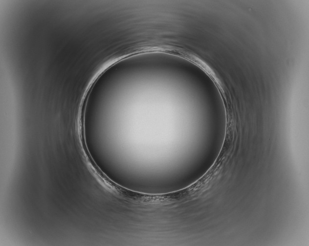 X0000116680811200912211622