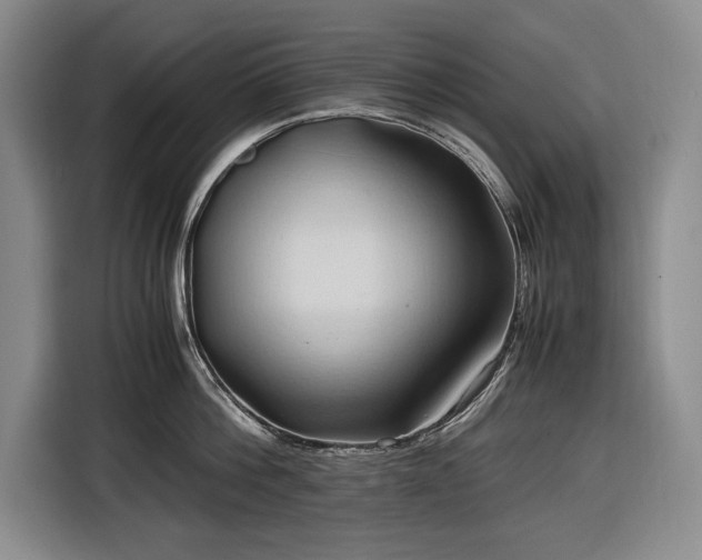 X0000116680812200912211622