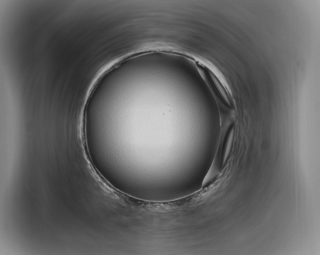 X0000116680815200912211622