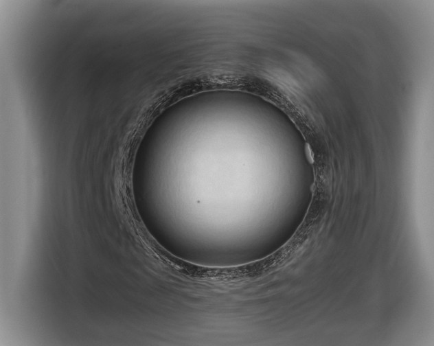 X0000116680817200912211622