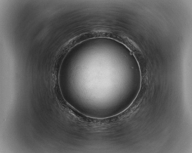 X0000116680821200912211622