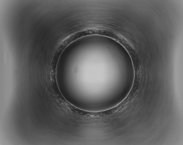 X0000116680822200912211622