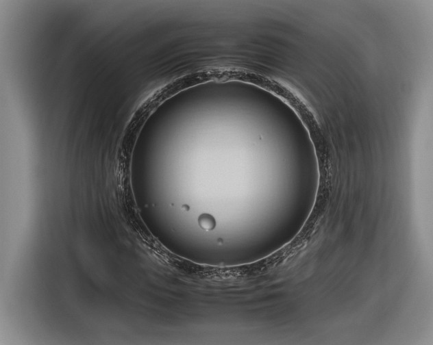 X0000116680823200912211622