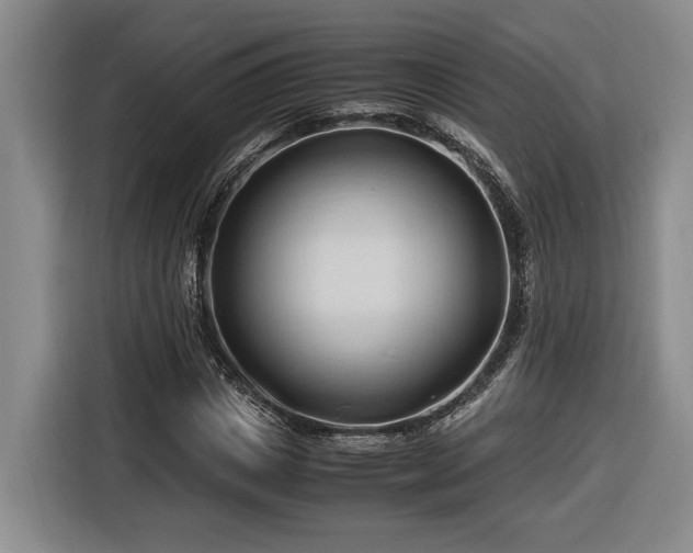 X0000116680825200912211622