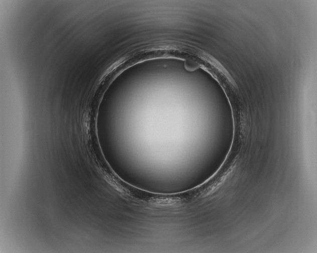 X0000116680826200912211622