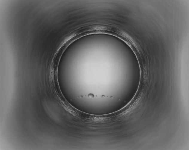 X0000116680827200912211622