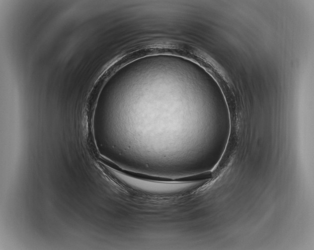 X0000116680829200912211622