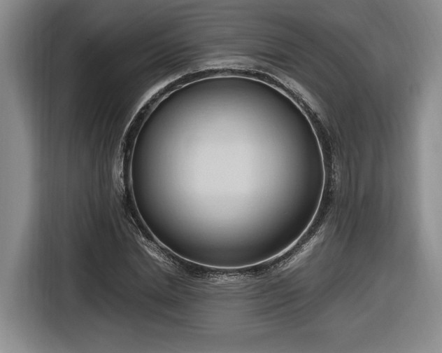 X0000116680830200912211622