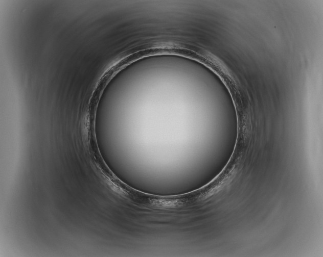 X0000116680831200912211622