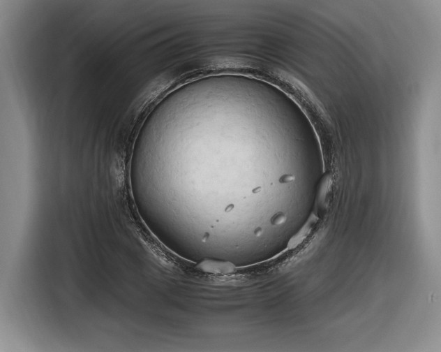 X0000116680833200912211622