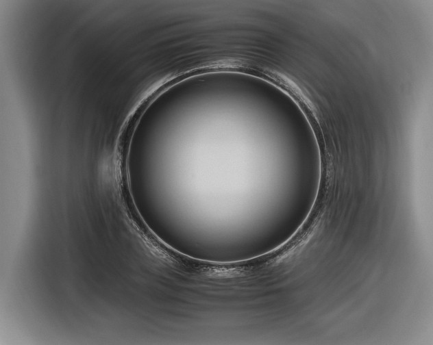 X0000116680835200912211622