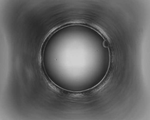 X0000116680837200912211622