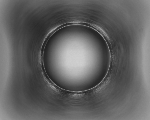 X0000116680839200912211622