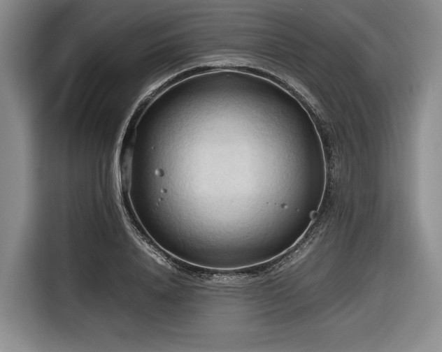 X0000116680840200912211622