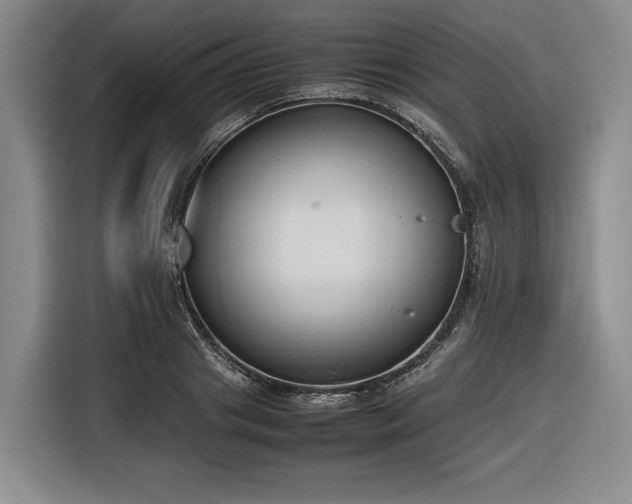 X0000116680841200912211622