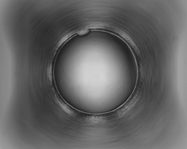 X0000116680842200912211622