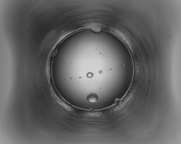 X0000116680843200912211622