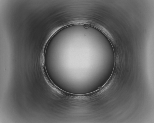 X0000116680844200912211622