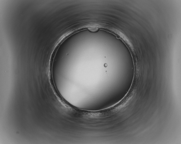 X0000116680845200912211622