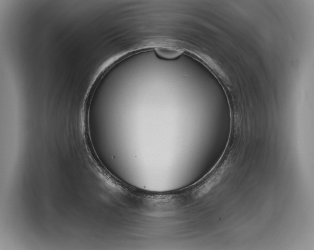 X0000116680846200912211622