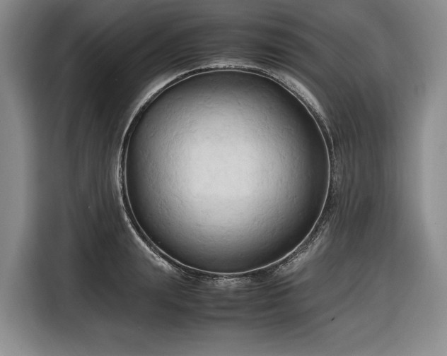 X0000116680847200912211622