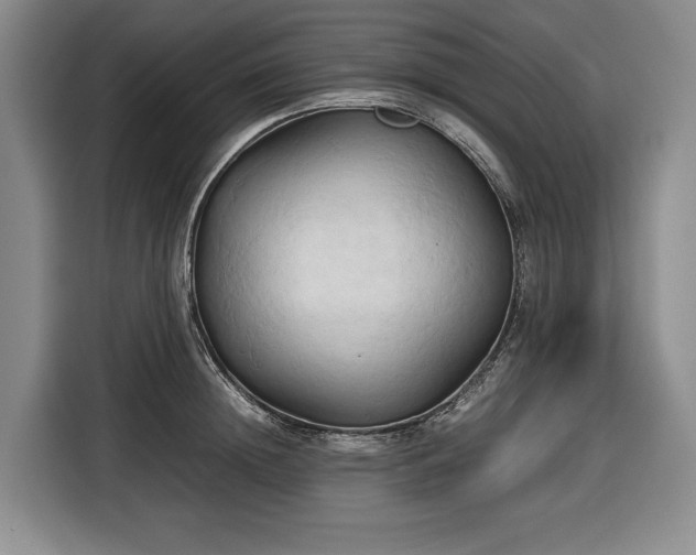 X0000116680852200912211622