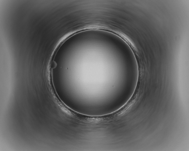 X0000116680854200912211622