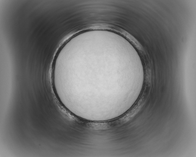 X0000116680856200912211622