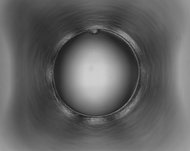 X0000116680857200912211622