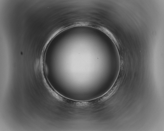 X0000116680859200912211622