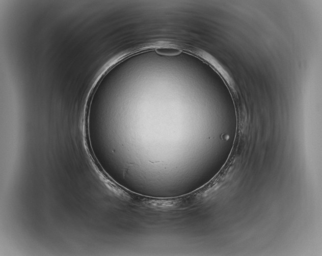 X0000116680861200912211622