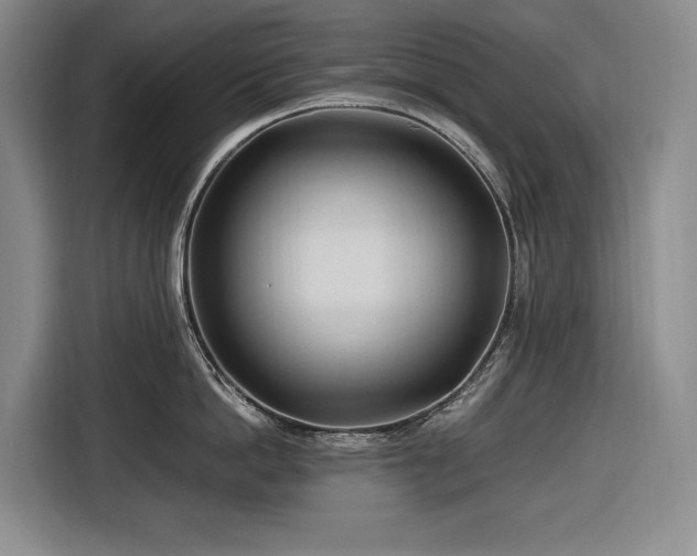 X0000116680862200912211622