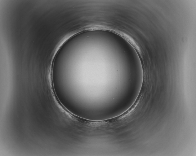 X0000116680863200912211622