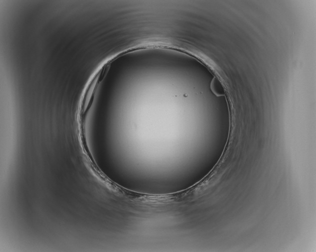 X0000116680864200912211622