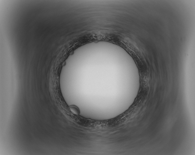 X0000116680865200912211622