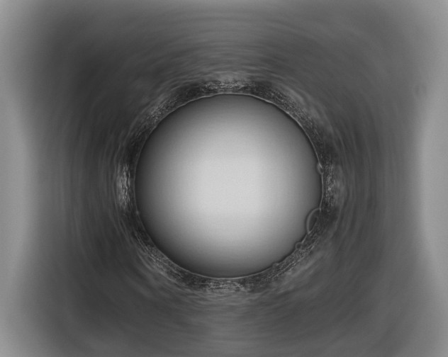 X0000116680866200912211622