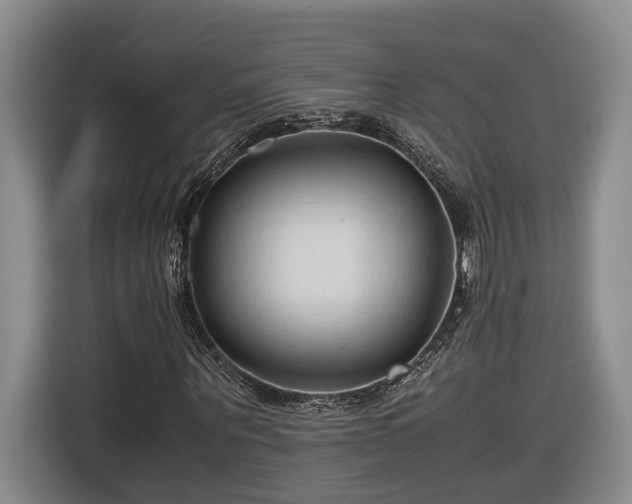 X0000116680867200912211622