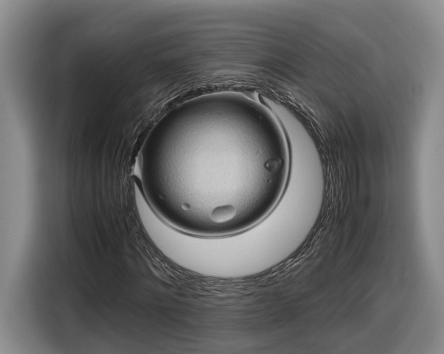 X0000116680868200912211622