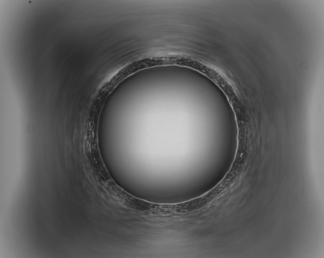 X0000116680871200912211622