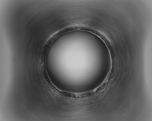 X0000116680872200912211622