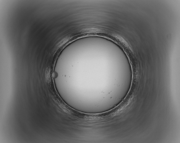 X0000116680873200912211622